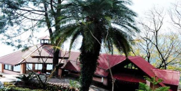 Winnies Holiday Inn Kasauli Extérieur photo